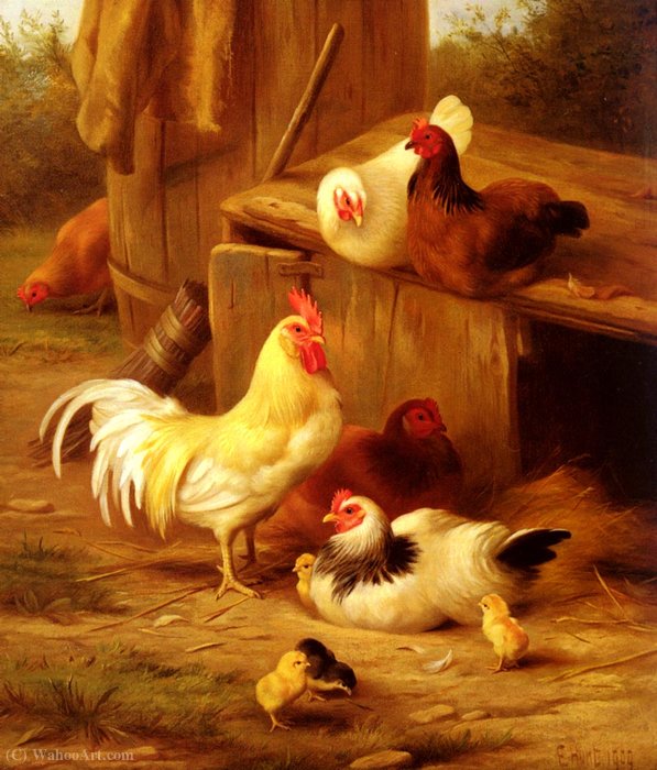 Chickens And Chicks — Edgar Hunt