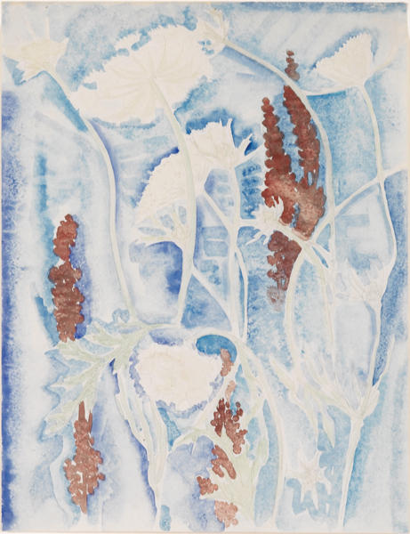 Flowers, White And Brown — Charles Demuth