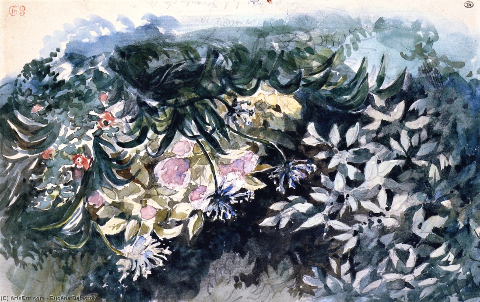 Flower Bed With Hydrangeas, Scillas And Anemones — Eugène Delacroix