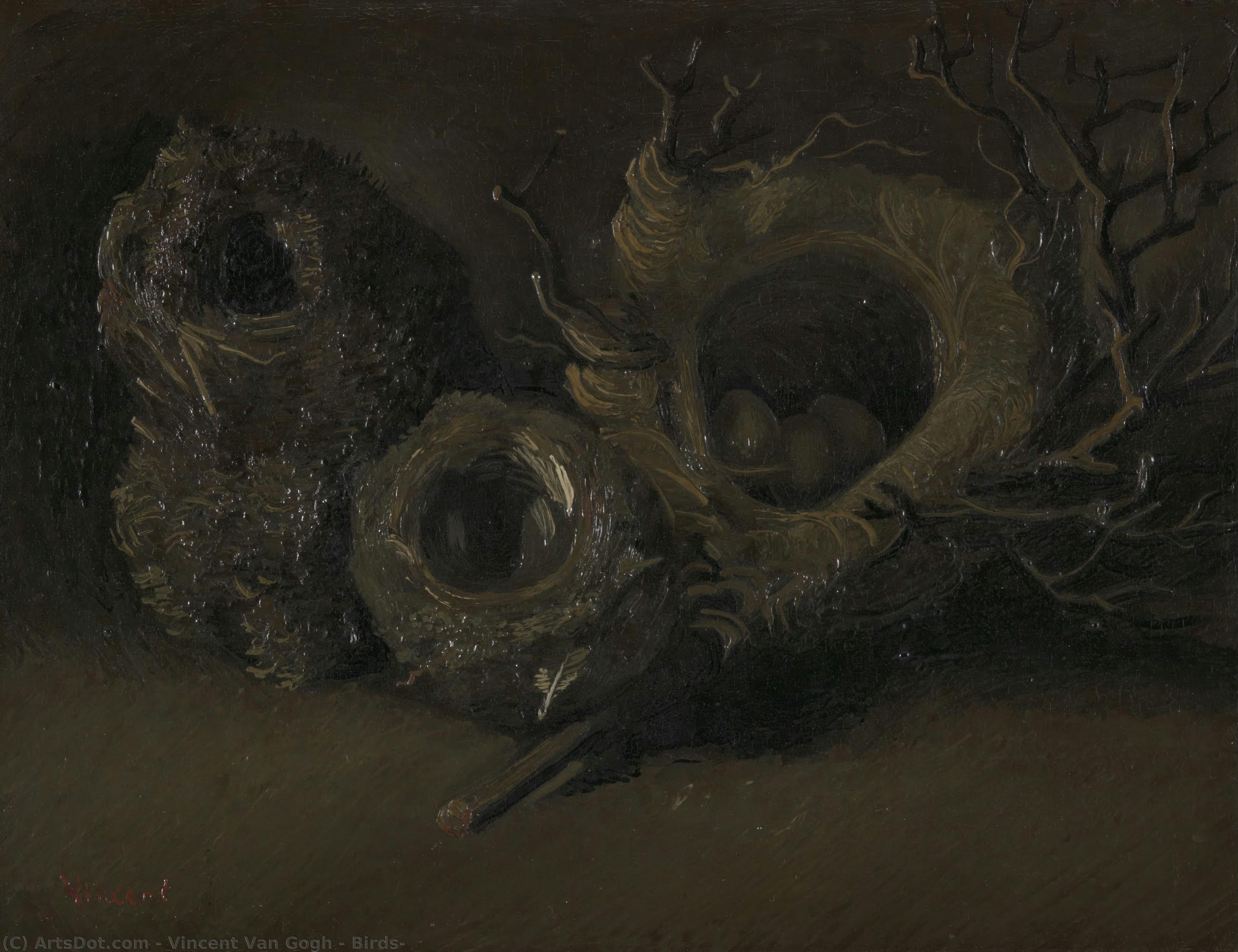 Birds — Vincent Van Gog
