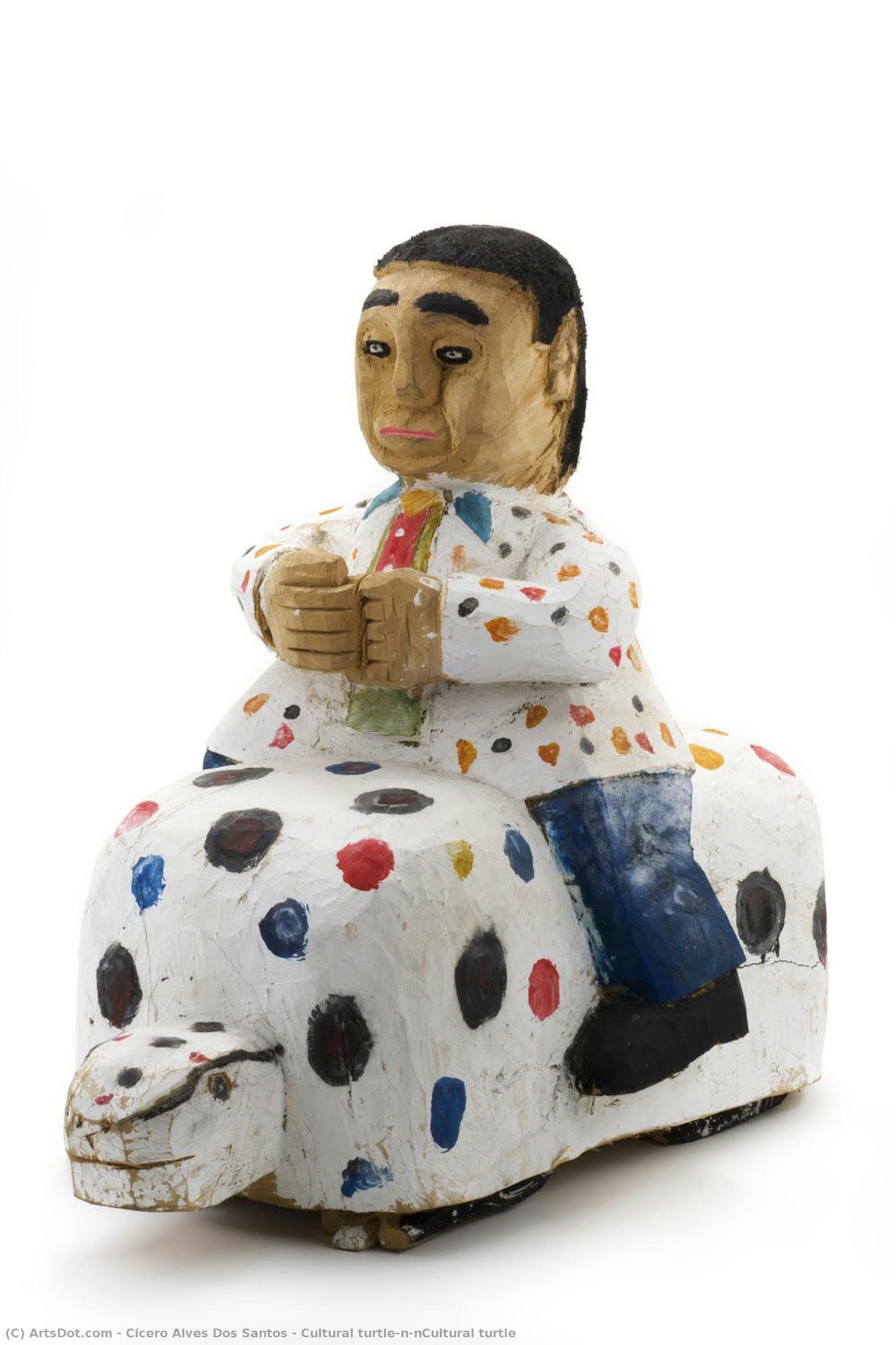 Cultural Turtle\n\ncultural Turtle — Cícero Alves Dos Santos