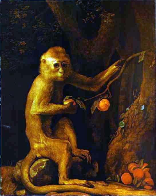 Portrait Of A Monkey — George Stubbs