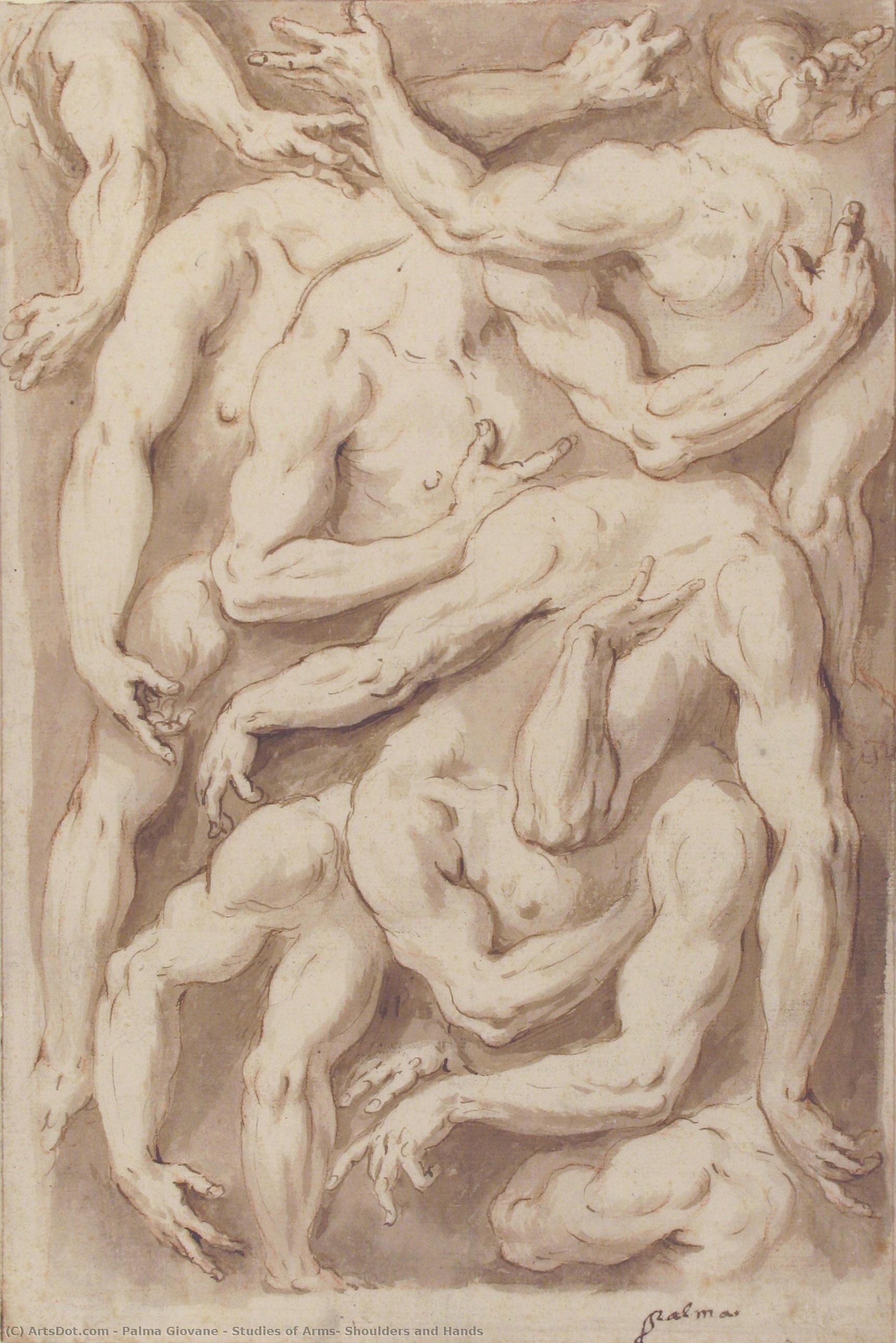 Studies Of Arms, Shoulders And Hands — Jacopo Palma Il Giovane