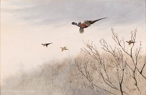 A Pheasant In Flight Above A Wood In Winter — George Edward Lodge