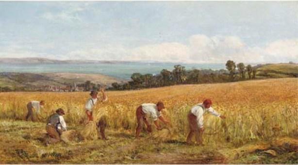 A Golden Harvest — Heywood Hardy