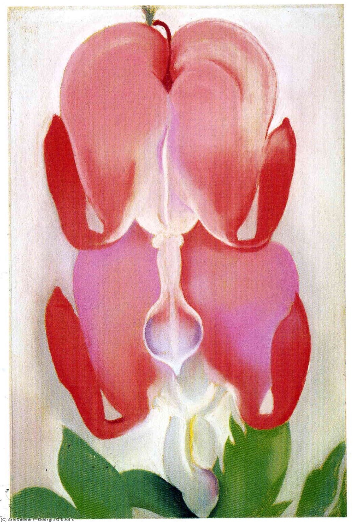 Bleeding Heart — Джорджия О’кифф