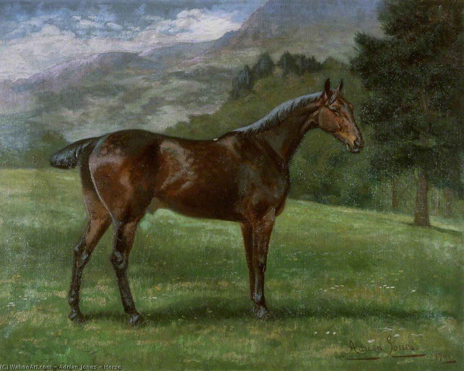 Horse — Adrian Jones