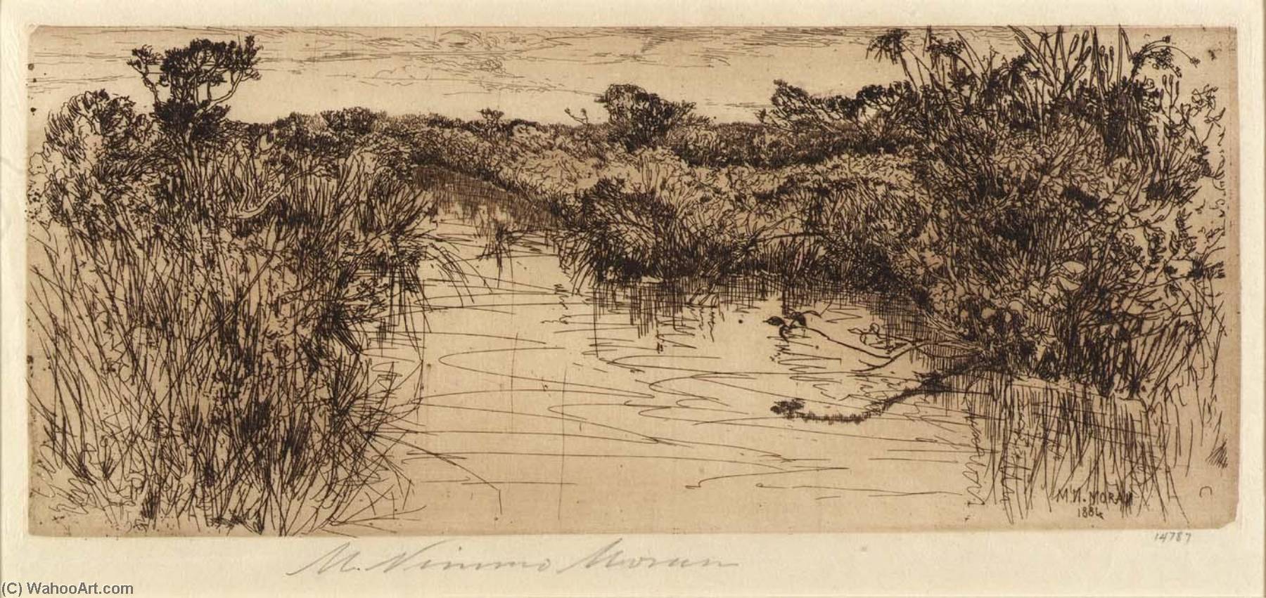 Meadowland — Mary Nimmo Moran
