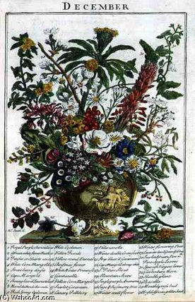 December, From 'the Flower Garden Displayed — Pieter Casteels