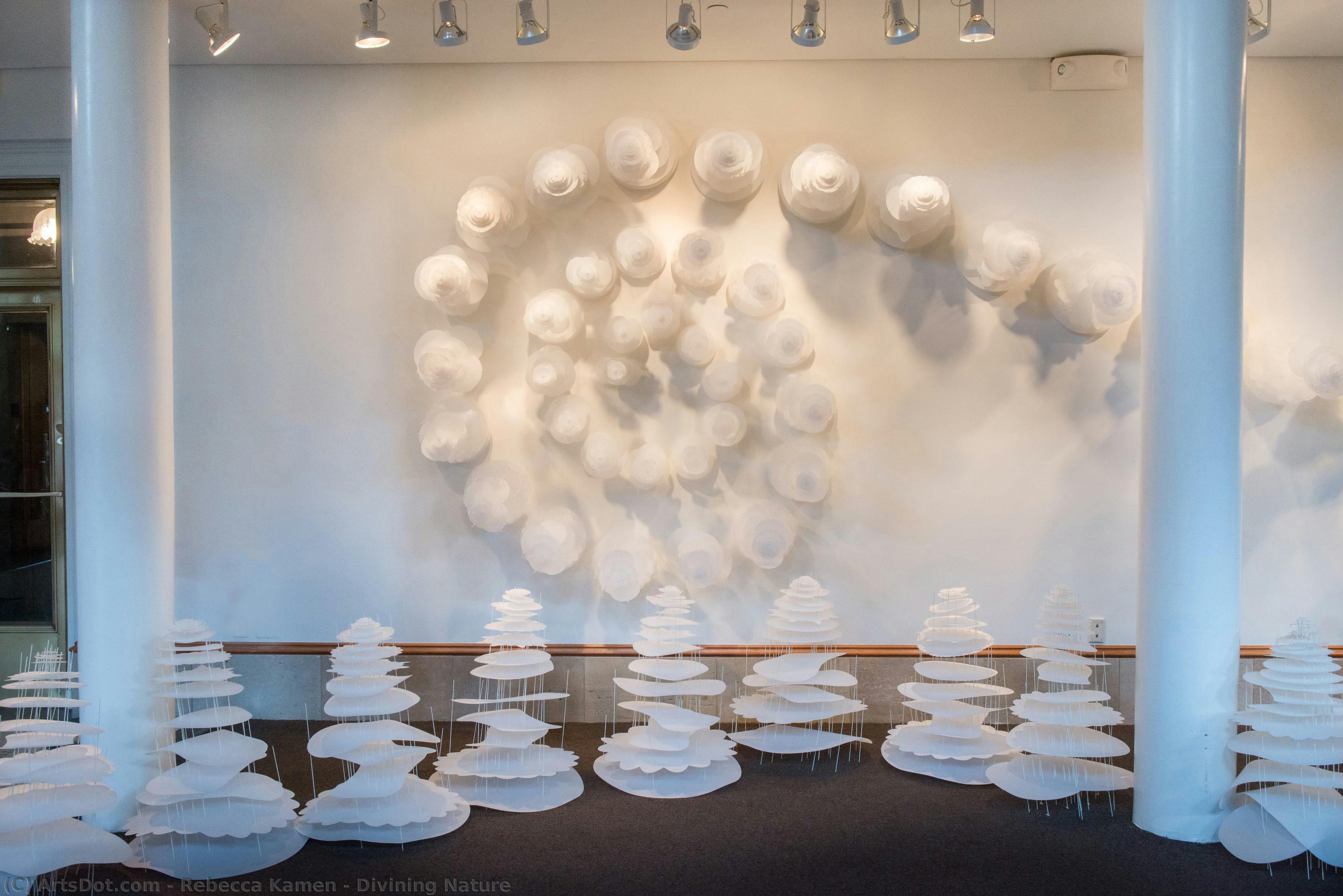 Divining Nature — Rebecca Kamen