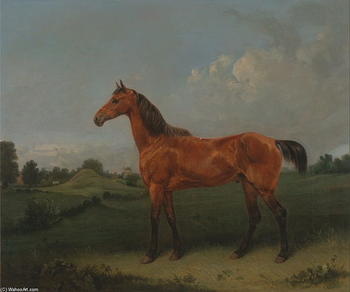 A Bay Horse In A Field — Edmund Bristow