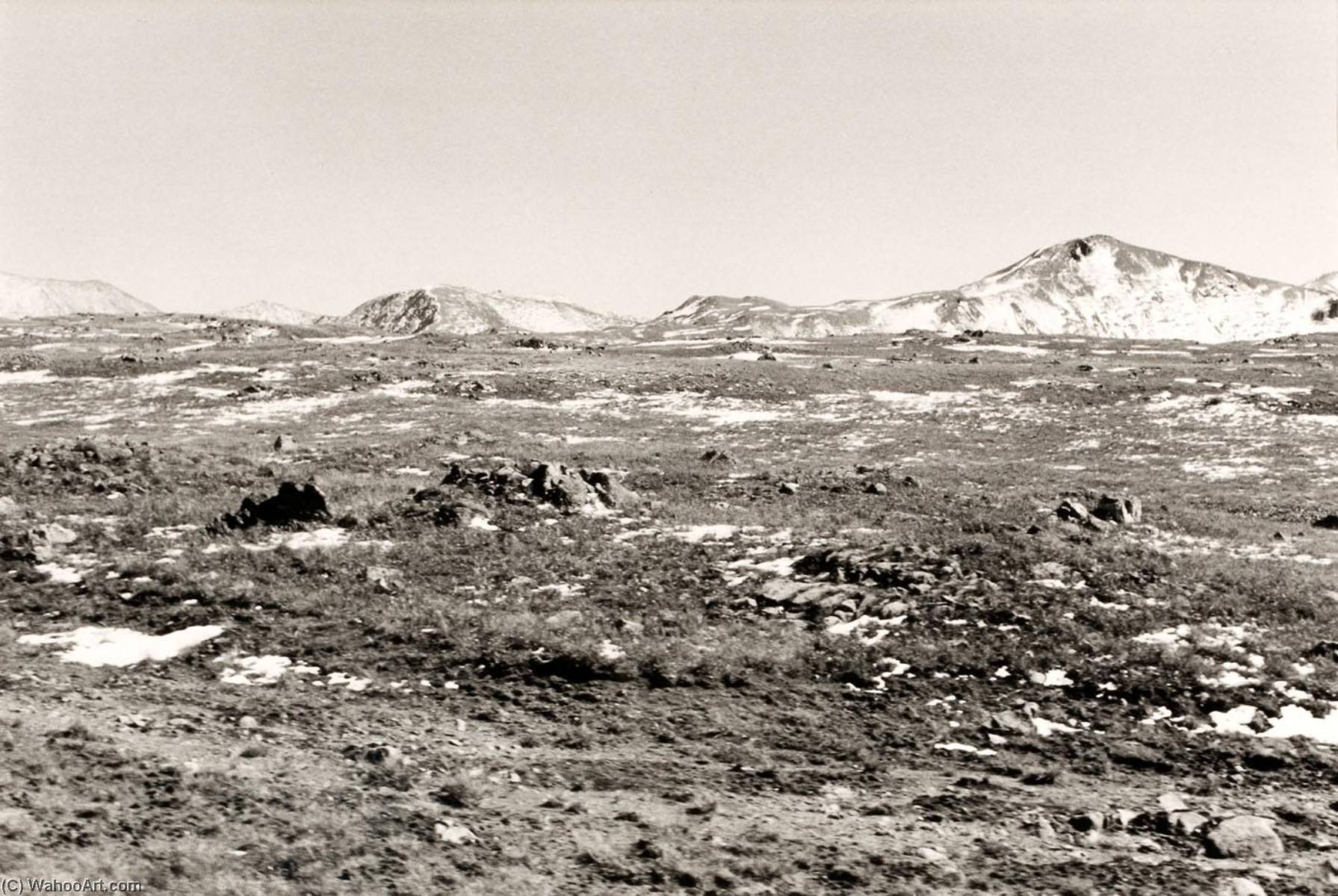 Autolandscape, Nevada — Elaine Mayes