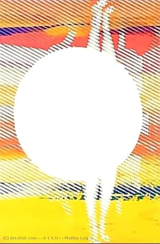 Malibu Leg #1 — [ A Y S H ]
