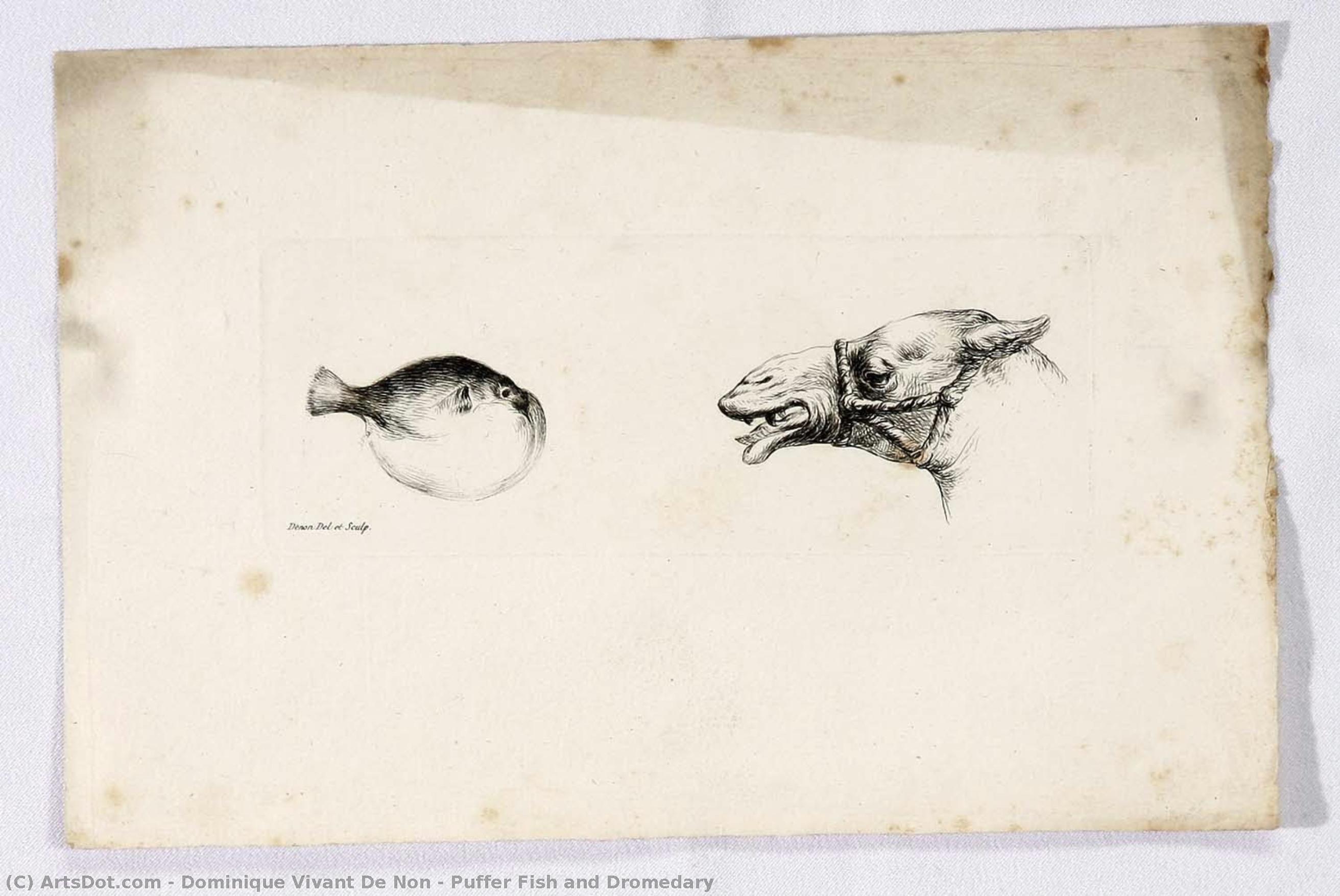Puffer Fish And Dromedary — Dominique Vivant De Non