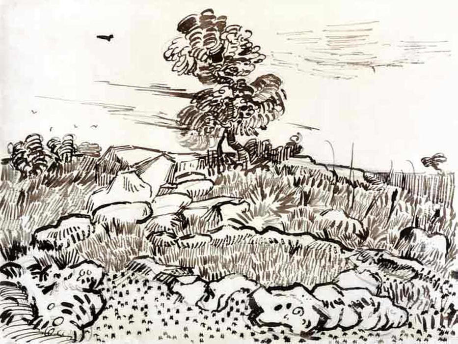 Montmajour Rocky Ground — Vincent Willem Van Gogh