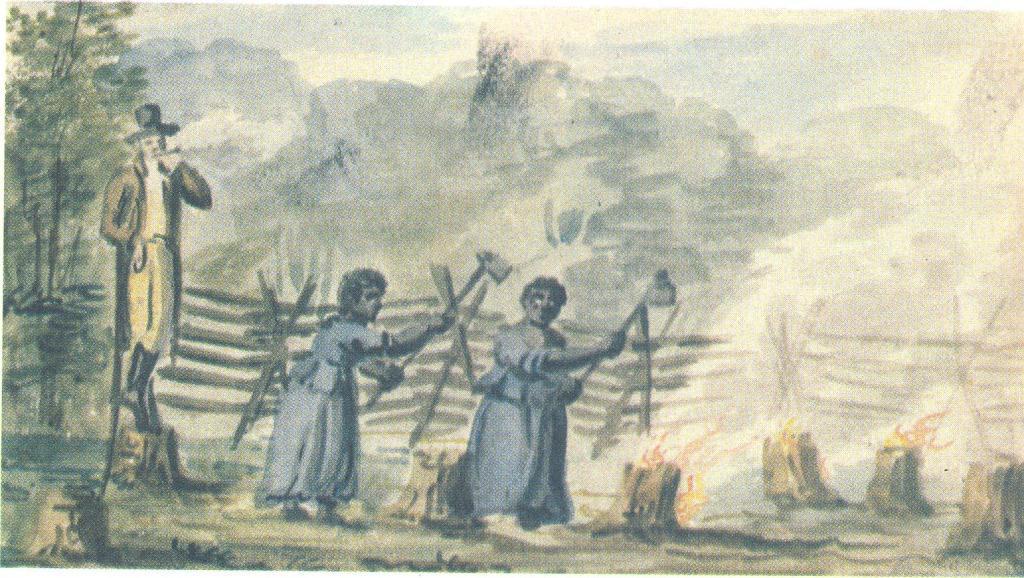 At The Plantation — Pavel Svinyin