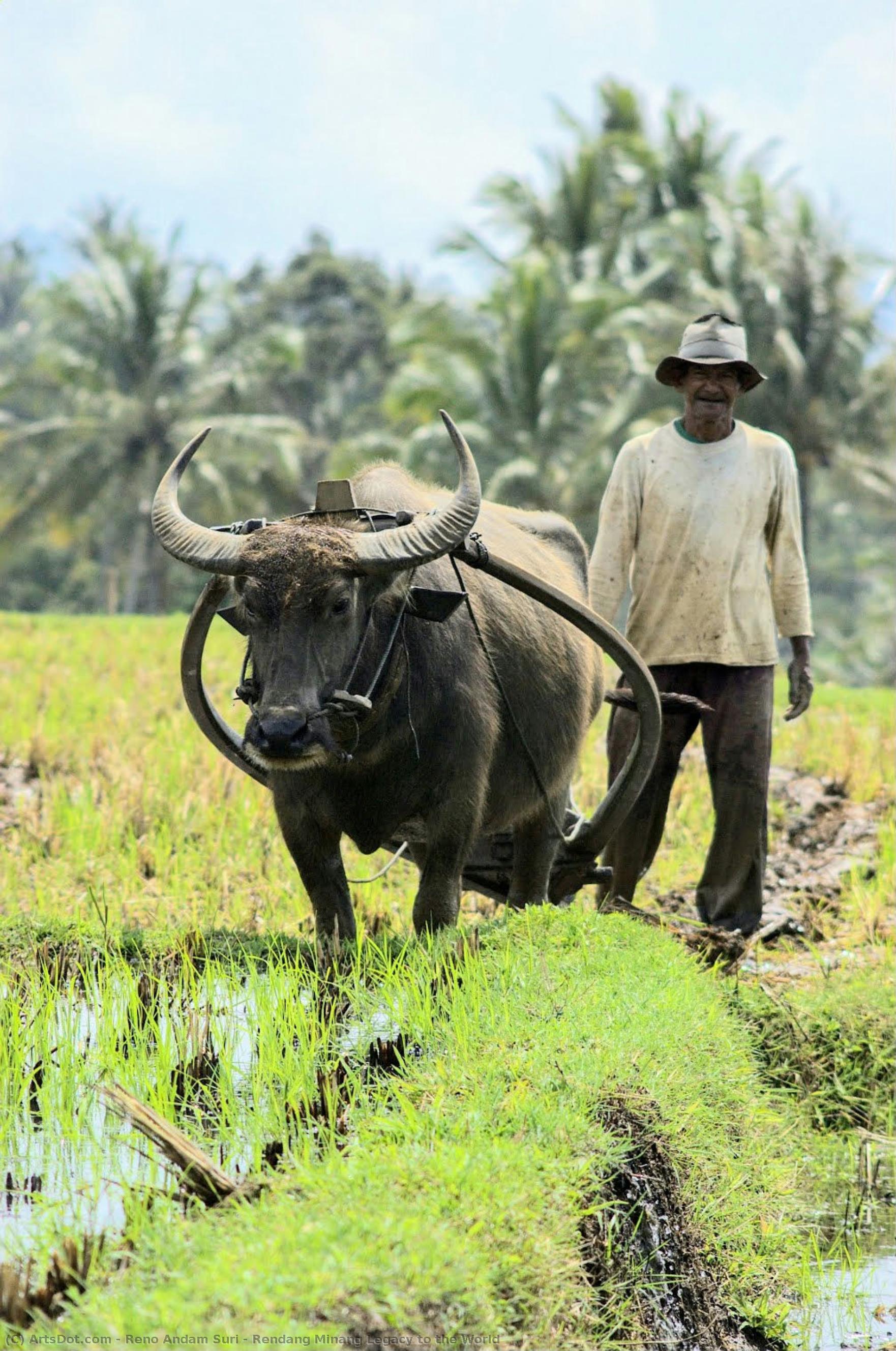 Rendang Minang Legacy To The World — Reno Andam Suri