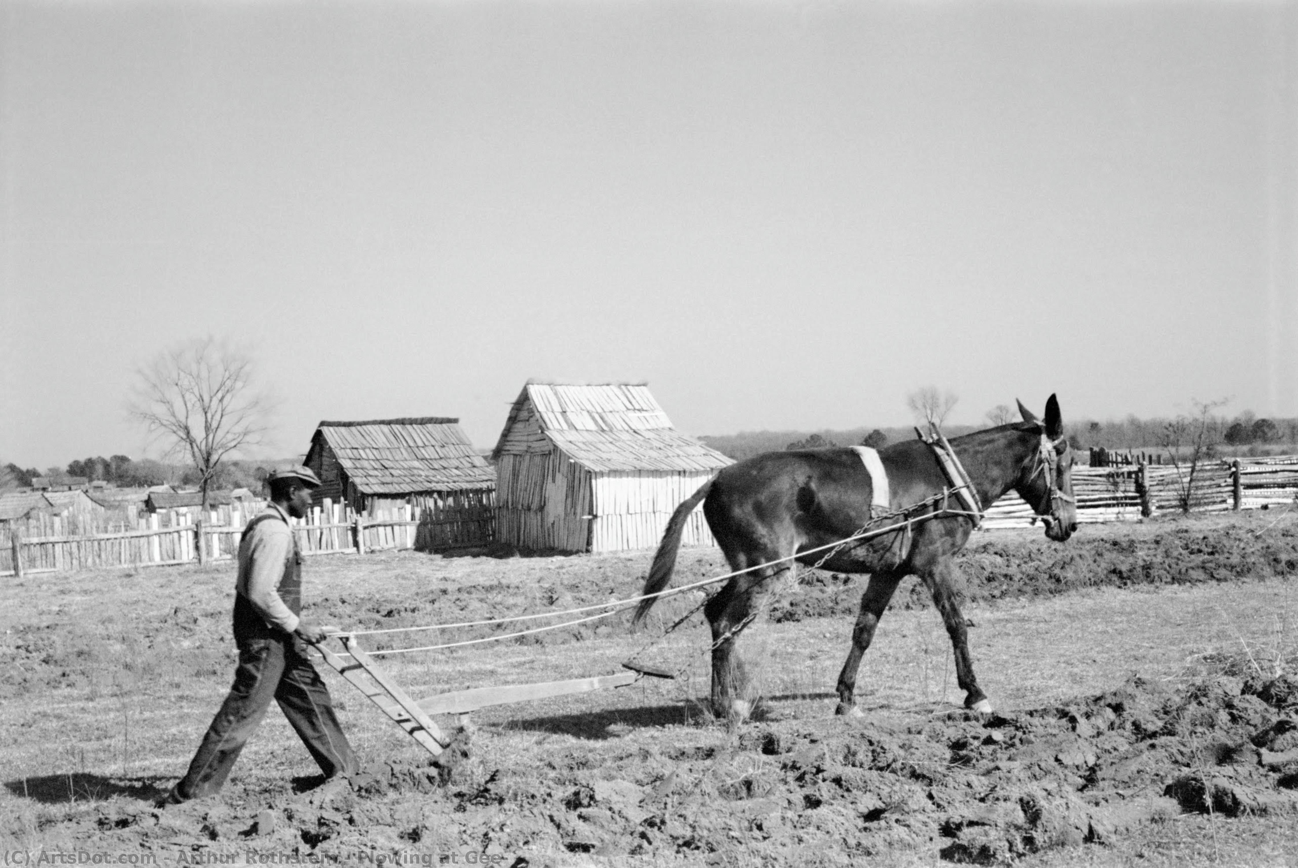 Plowing At Gee — Arthur Rothstein