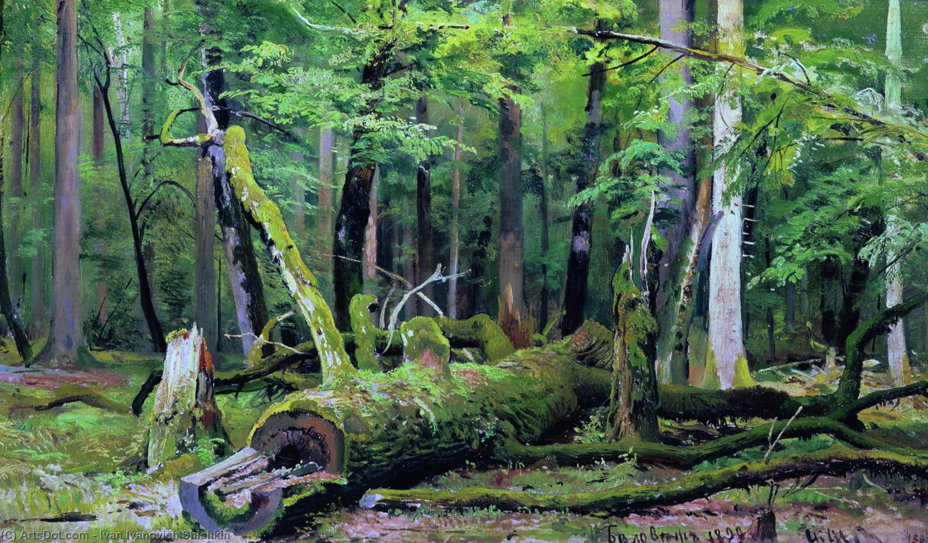 Cut Down Oak In The Bialowiezka Forest — イワン・イヴァノヴィッチ・シシキン