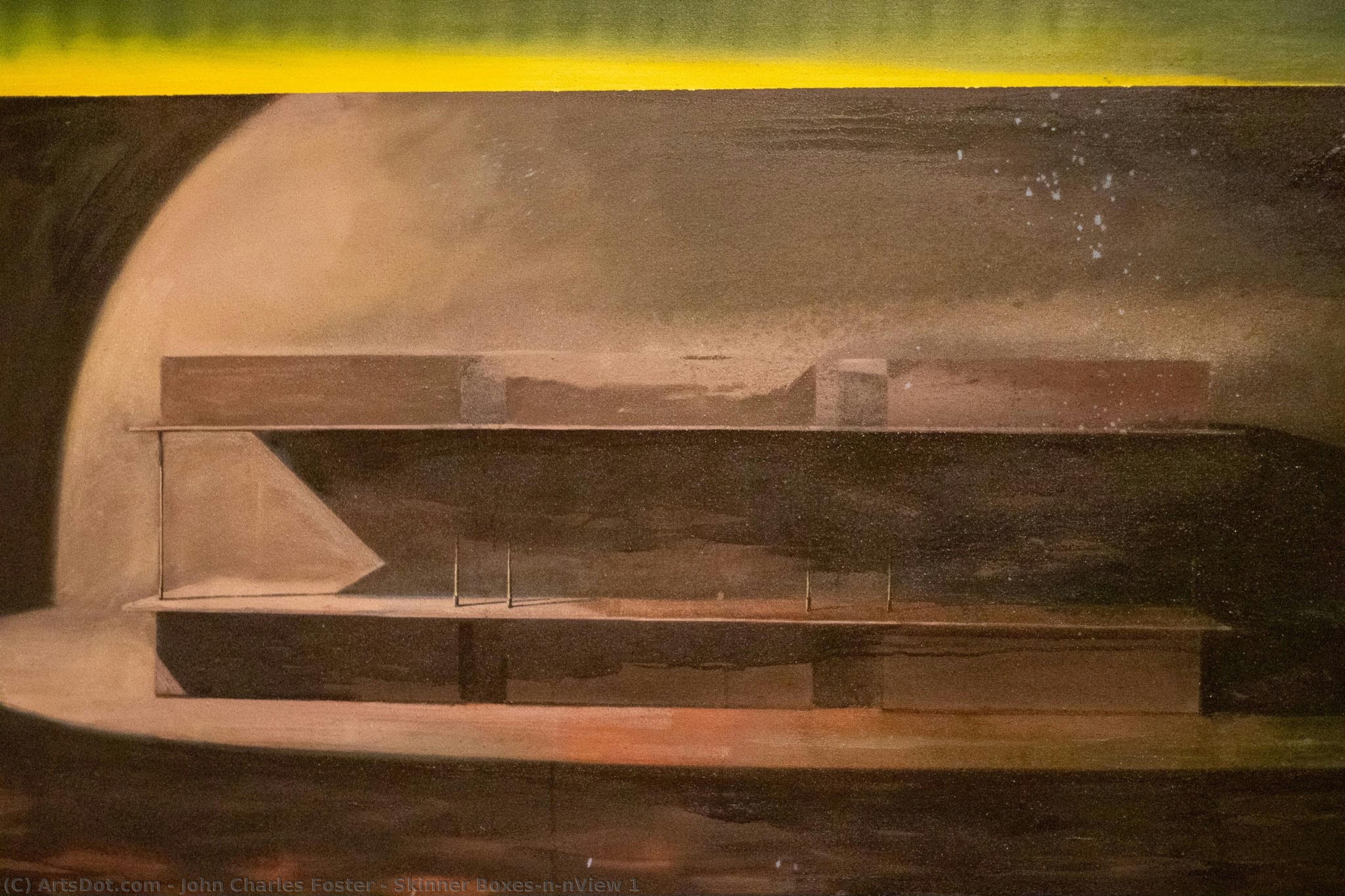 Skinner Boxes\n\nview 1 — John Charles Foster
