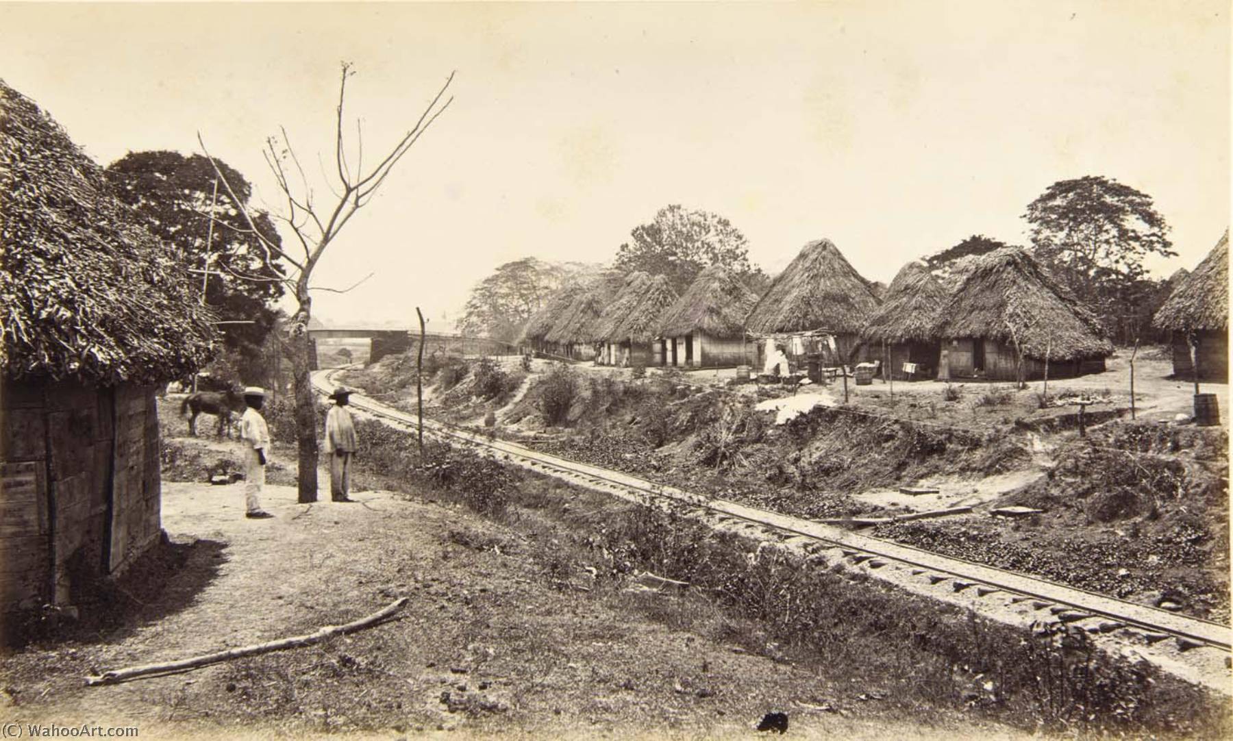 Suburbs Of Panama — Eadweard J Muybridge