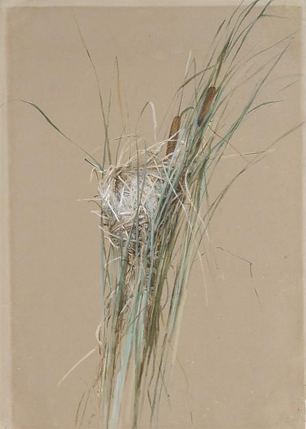 Bird's Nest In Cattails — Fidelia Bridges
