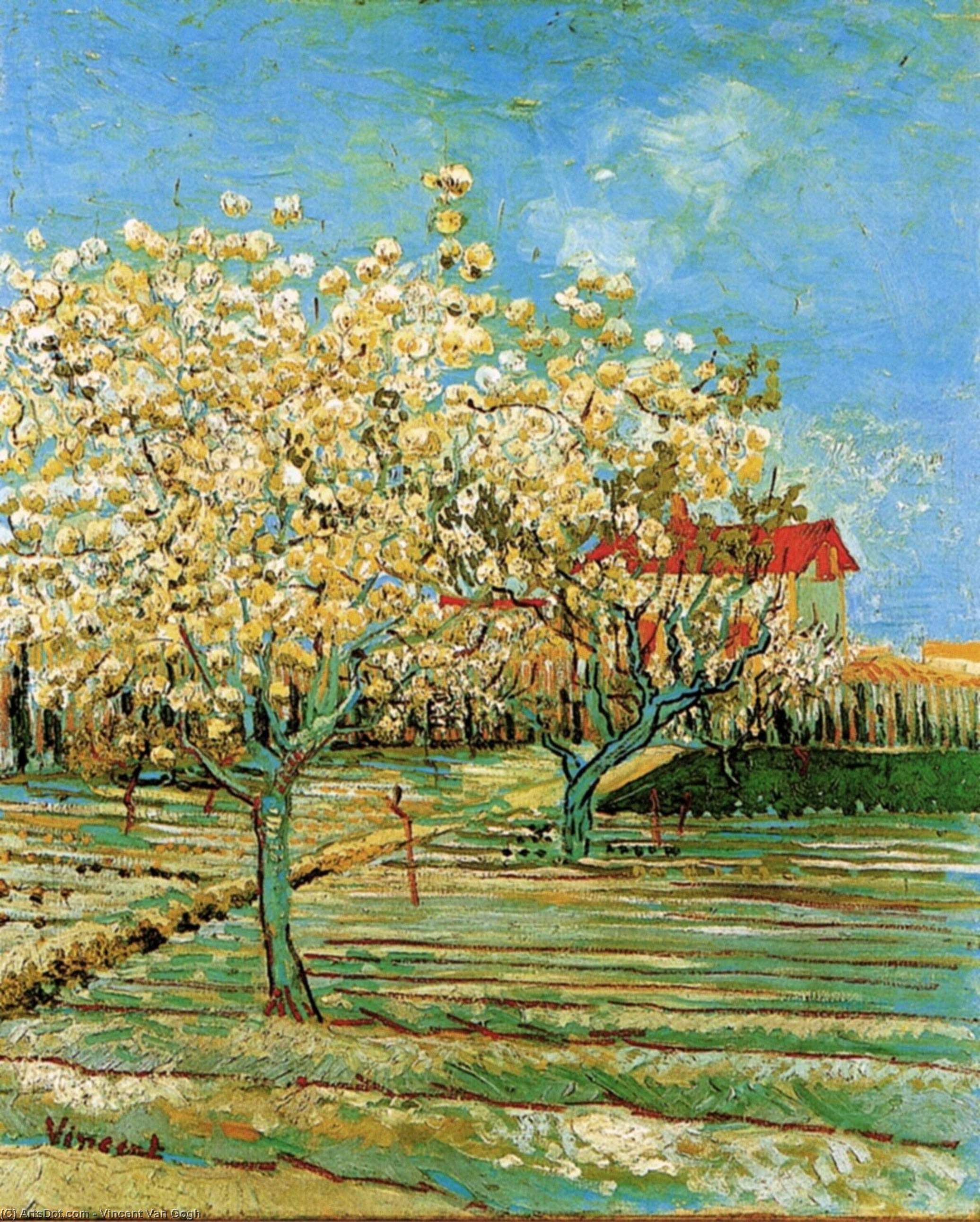 Orchard In Blossom — Vincent Willem Van Gogh