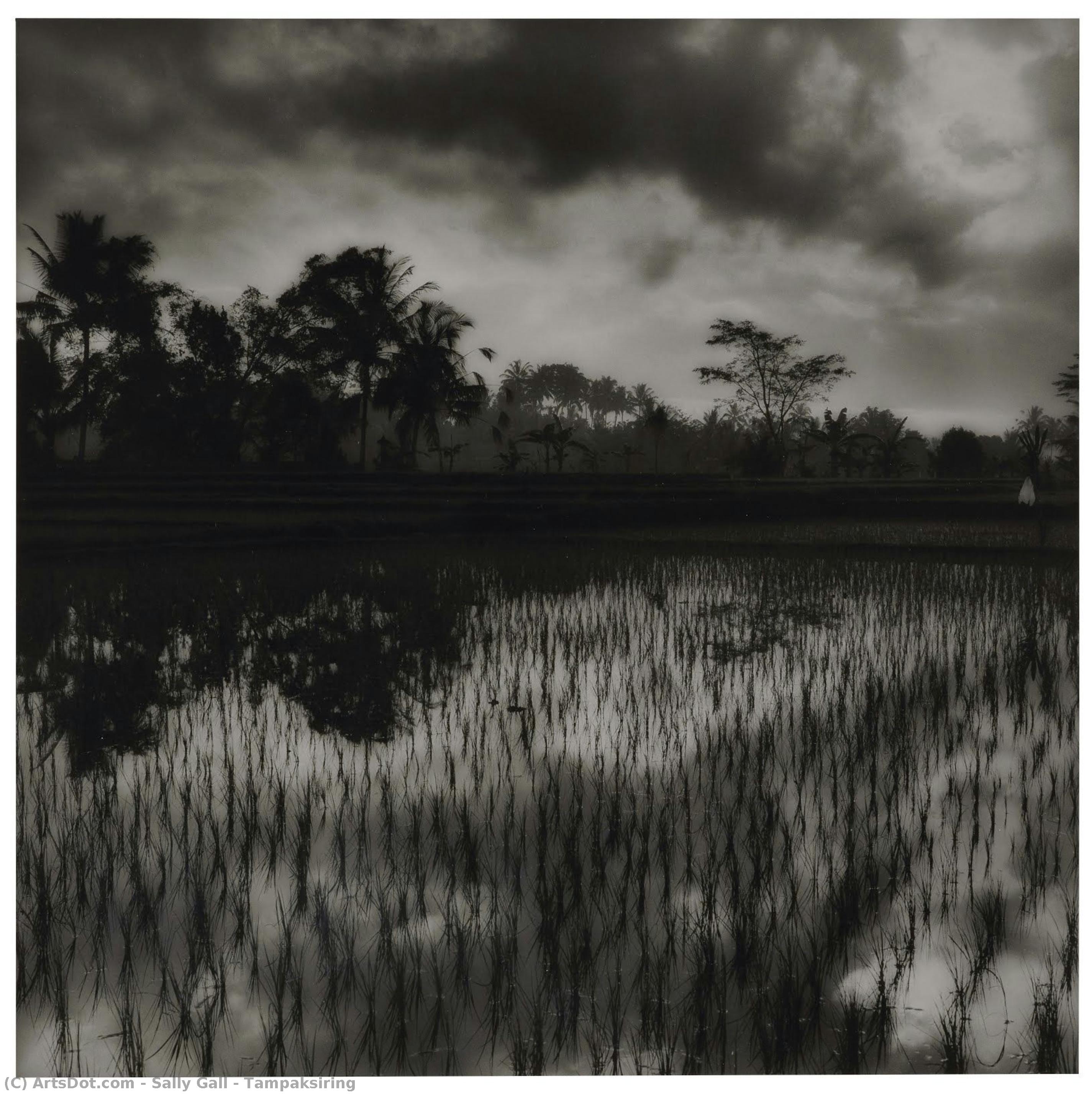 Tampaksiring — Sally Gall