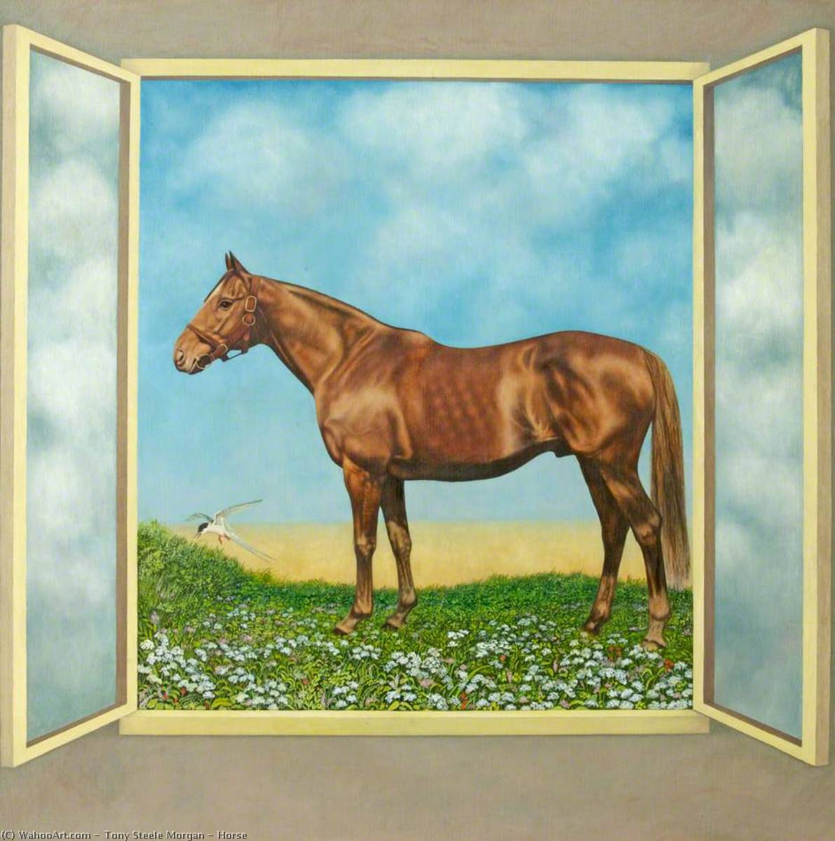 Horse — Tony Steele Morgan