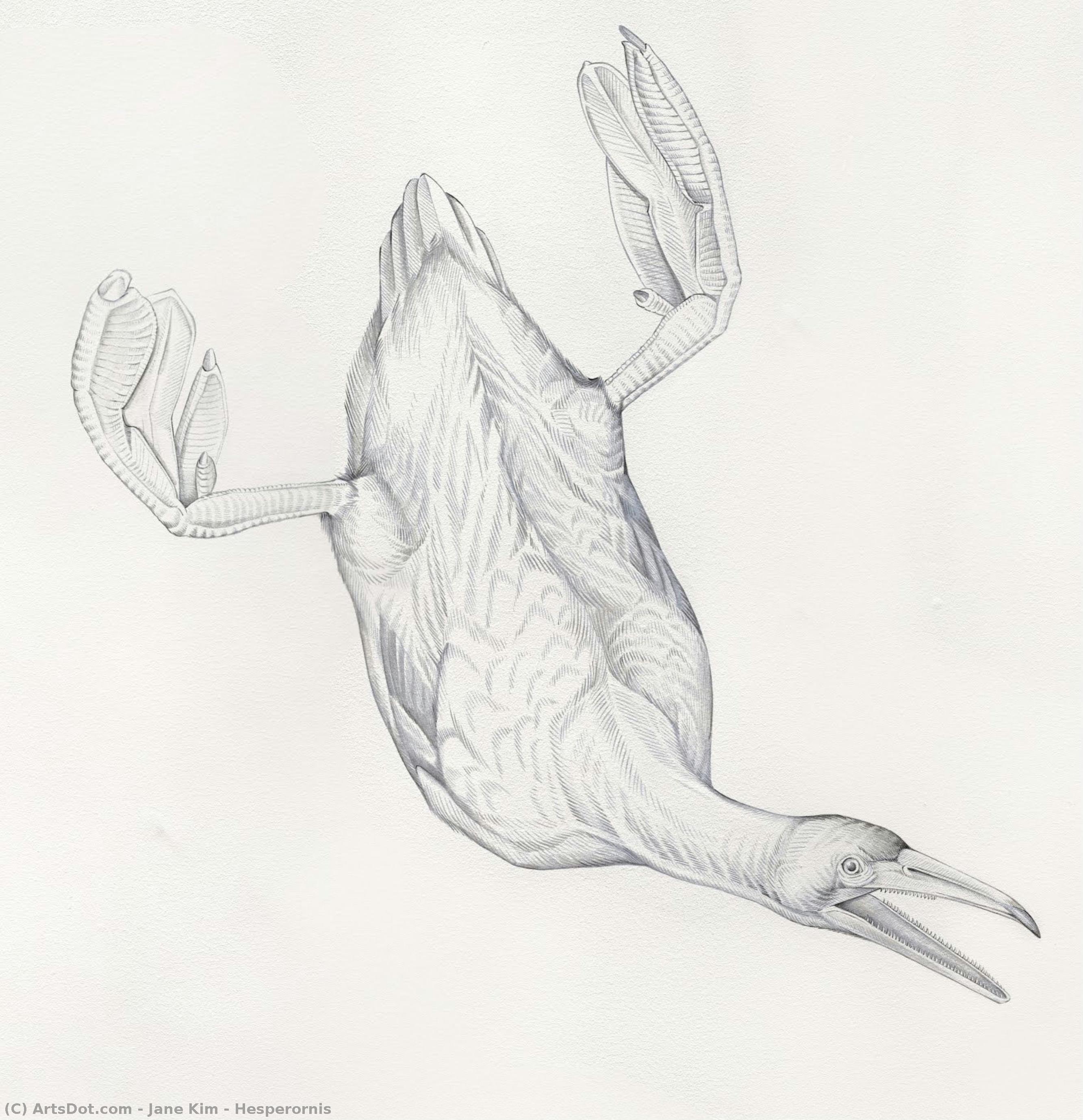 Hesperornis — Джейн Ким