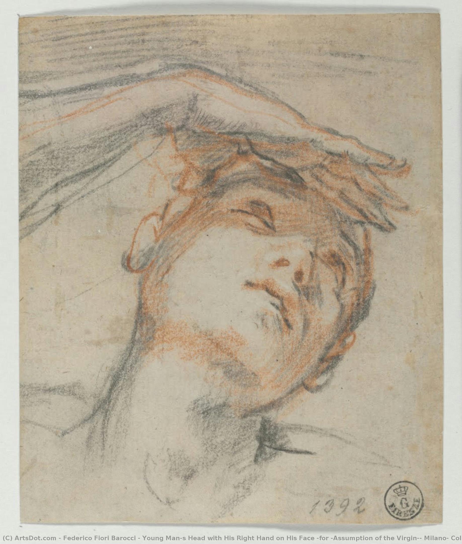 Young Man’s Head With His Right Hand On His Face (for “assumption Of The Virgin”, Milano, Collezione Castelbarco Albani) — Federico Fiori Barocci