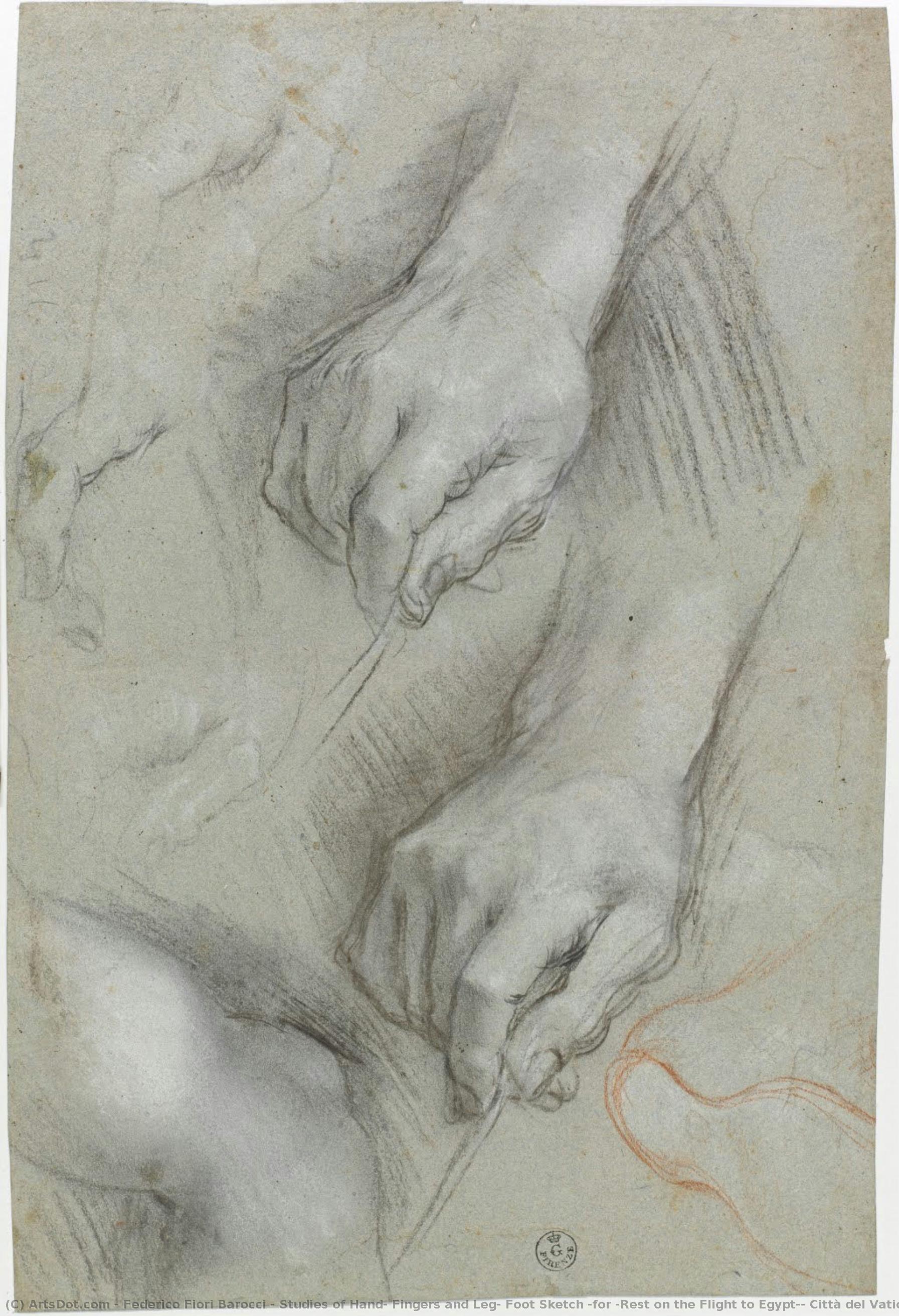 Studies Of Hand, Fingers And Leg, Foot Sketch (for “rest On The Flight To Egypt”, Città Del Vaticano, Pinacoteca Vaticana) — Federico Fiori Barocci