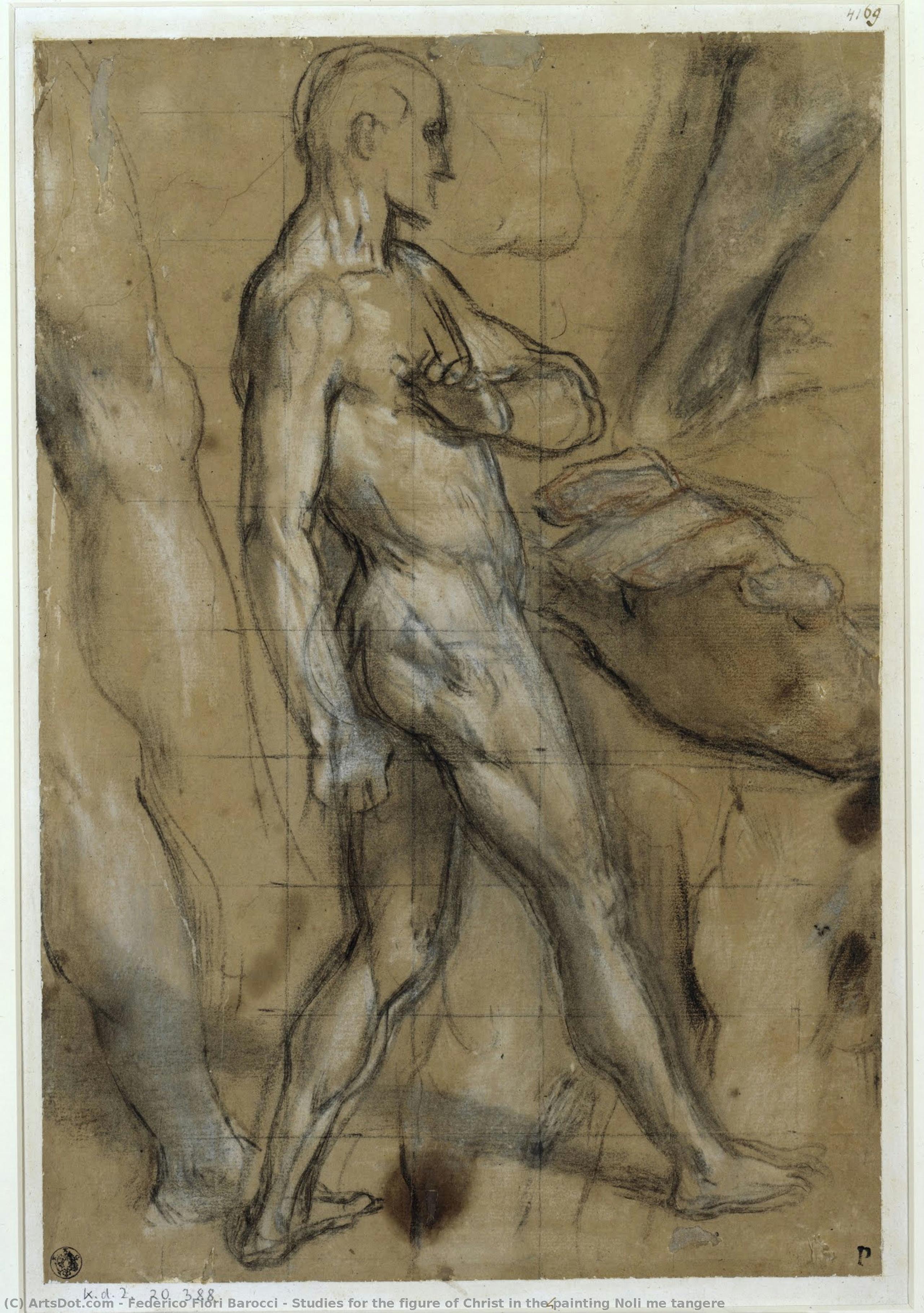 Studien Für Die Christusfigur Im Gemälde Noli Me Tangere — Federico Fiori Barocci