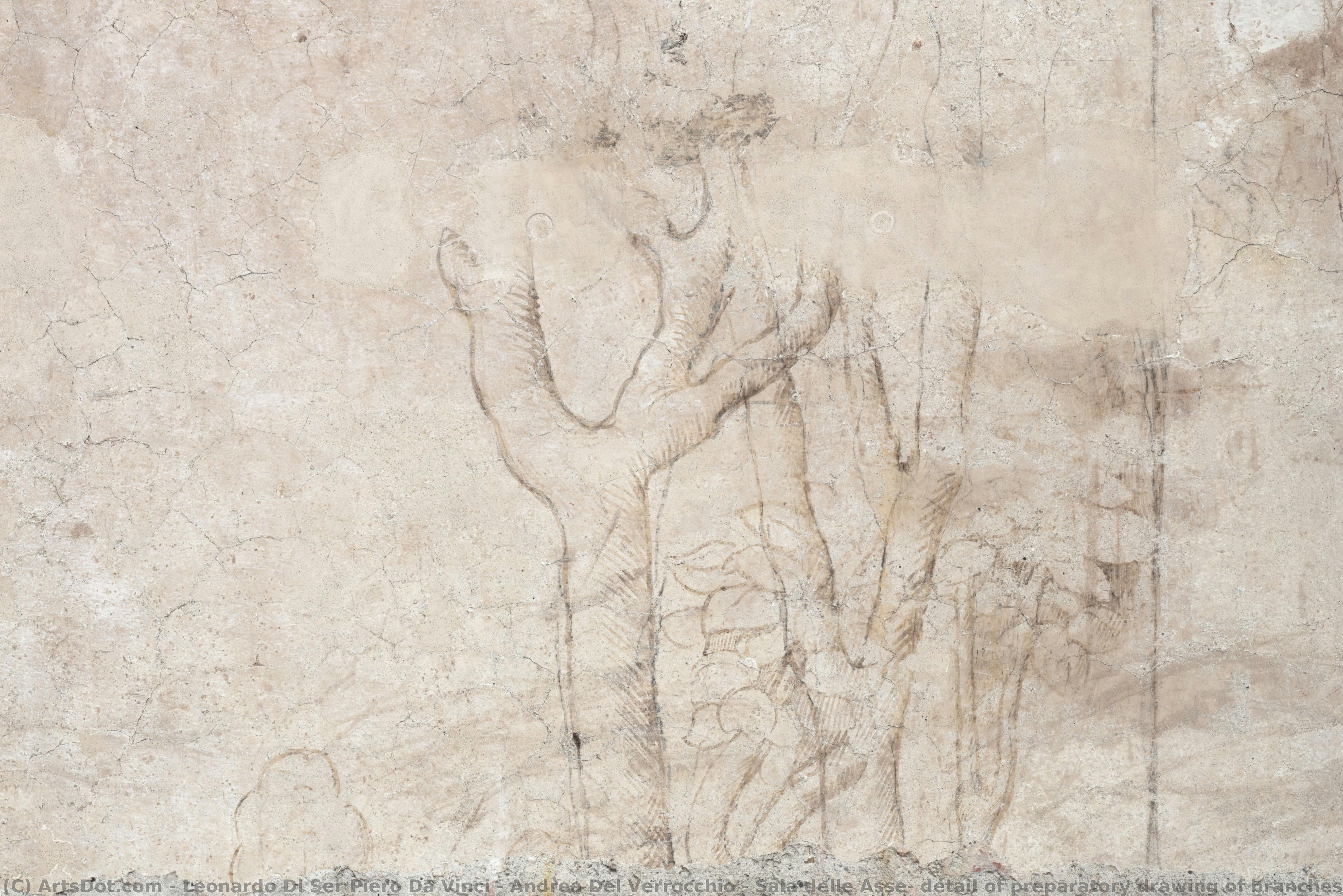Sala Delle Asse, Detalle Del Dibujo Preparatorio De Ramas Y Hojas — Leonardo Da Vinci Y Andrea Del Verrocchio