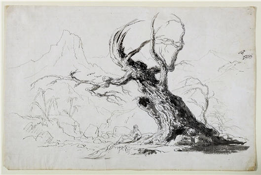 Large Gnarled Tree With Bearded Man Seated Below — Thomas Cole