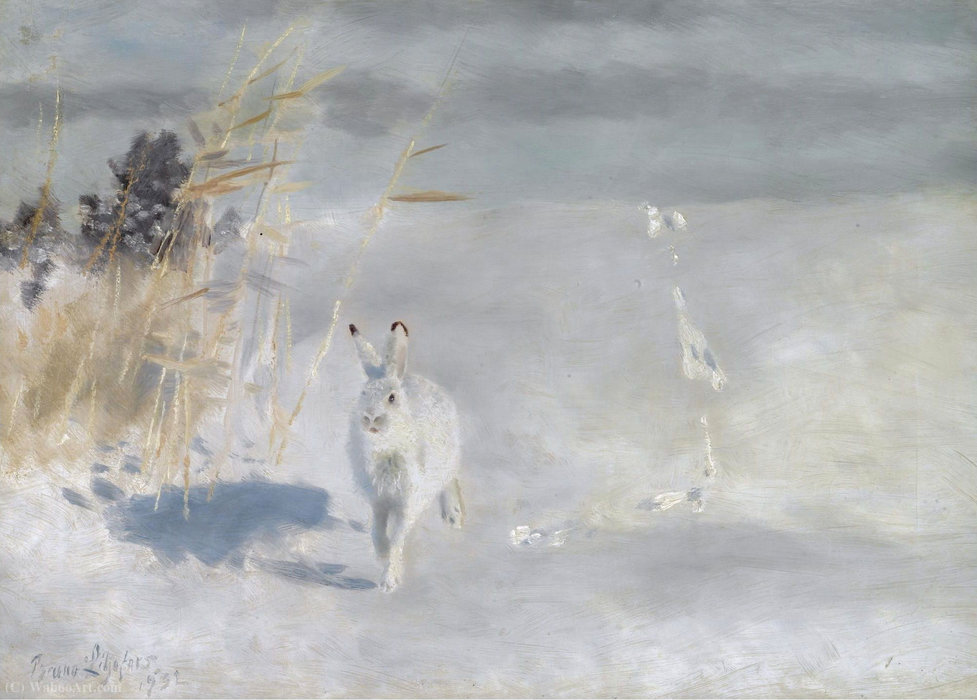 Winterhare (snow Hare), (1932) — Bruno Liljefors