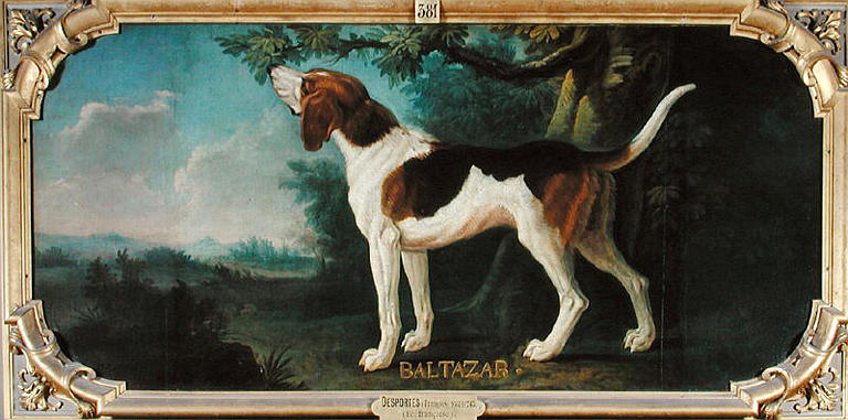 Baltazar — Alexandre François Desportes