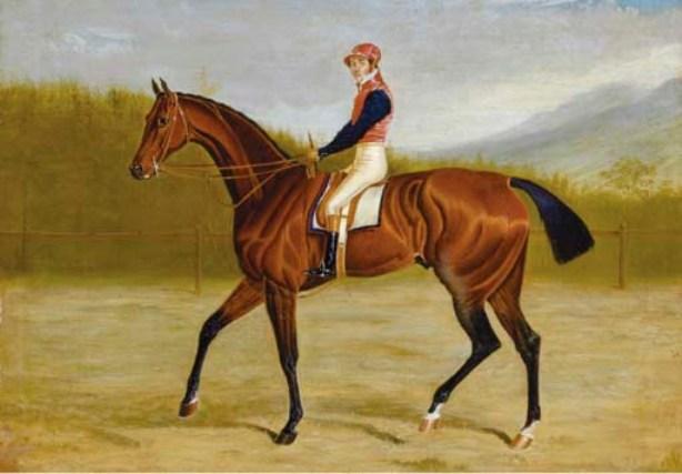A Bay Racehorse With Jockey Up — John Frederick Herring Senior