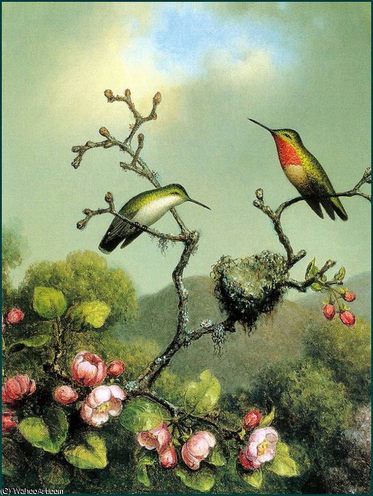 Rubythroat Of North America — Martin Johnson Heade