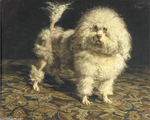Pedro Portrait Of A Poodle — Charles Van Den Eycken