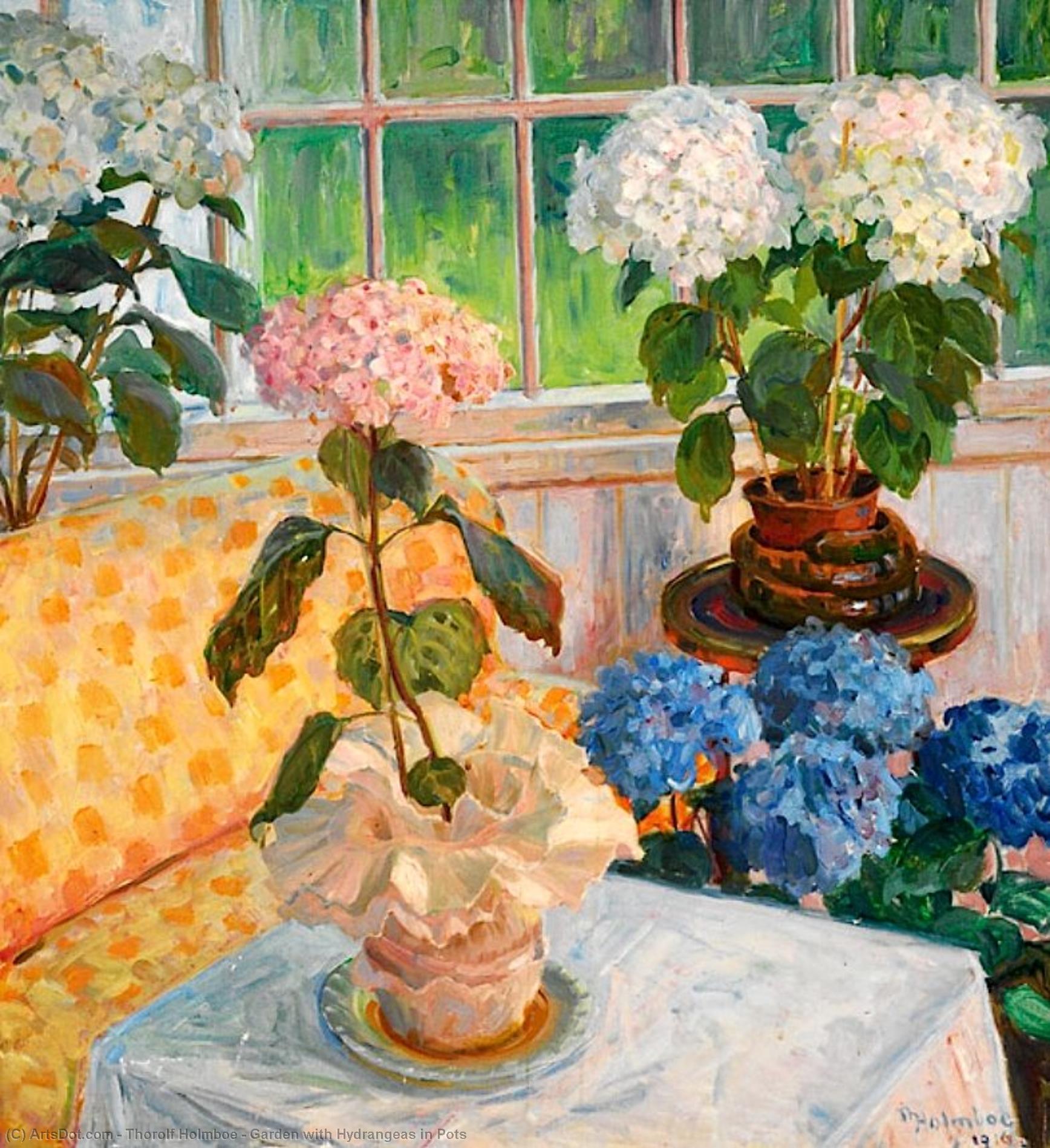 Garden With Hydrangeas In Pots — Thorolf Holmboe