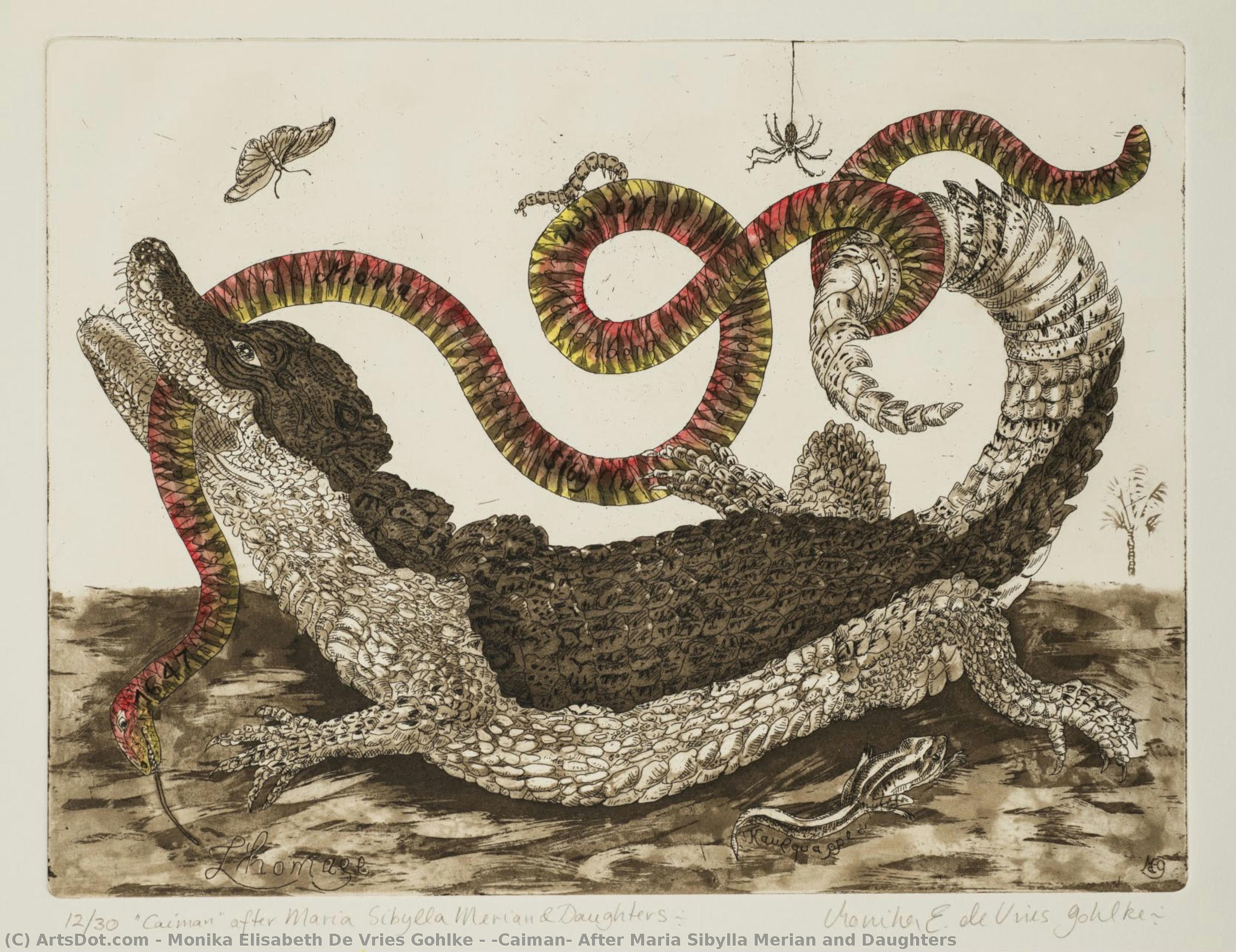 “caiman” After Maria Sibylla Merian And Daughters — Monika Elisabeth De Vries Gohlke