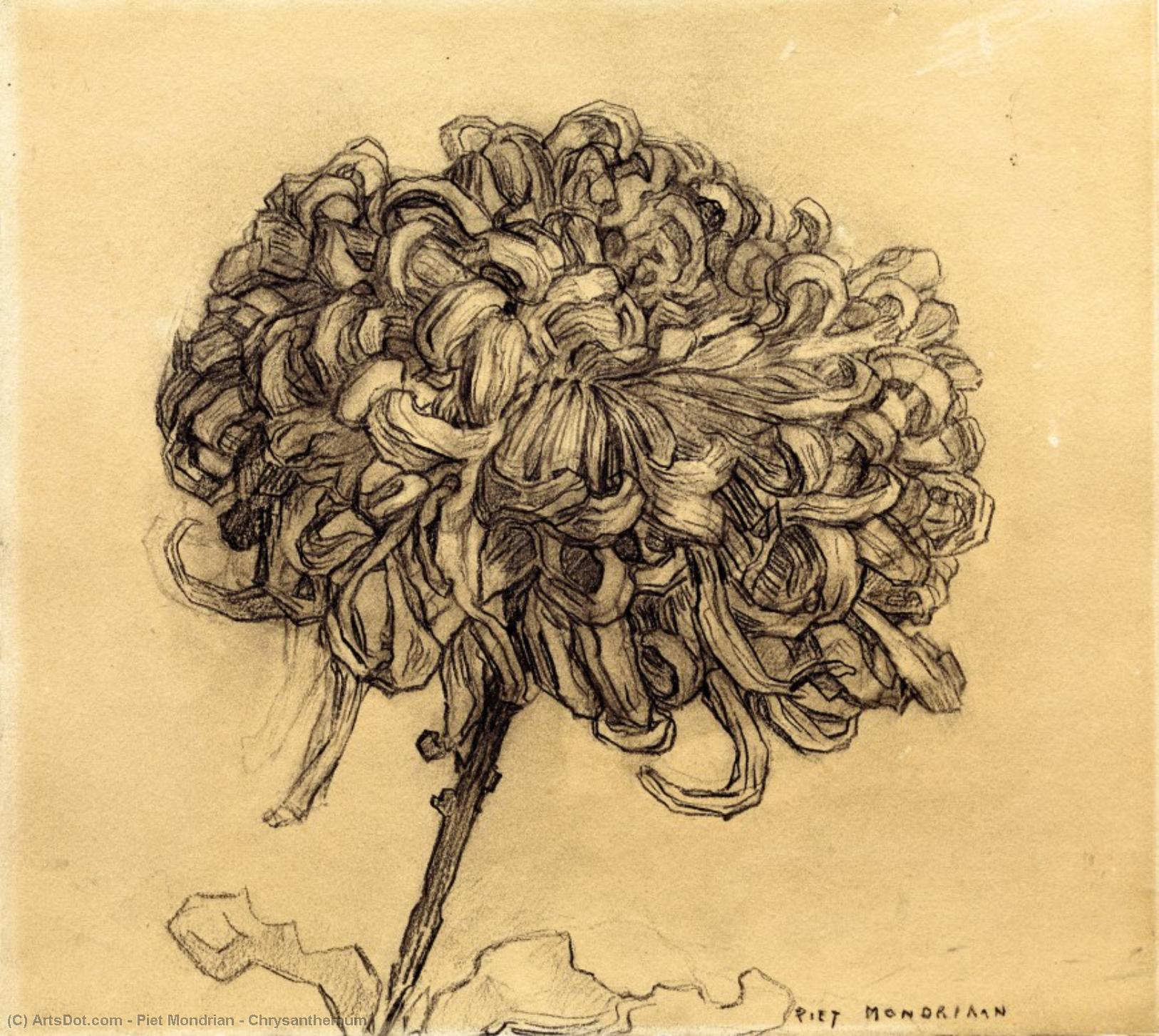 Chrysanthemum — Piet Mondrian