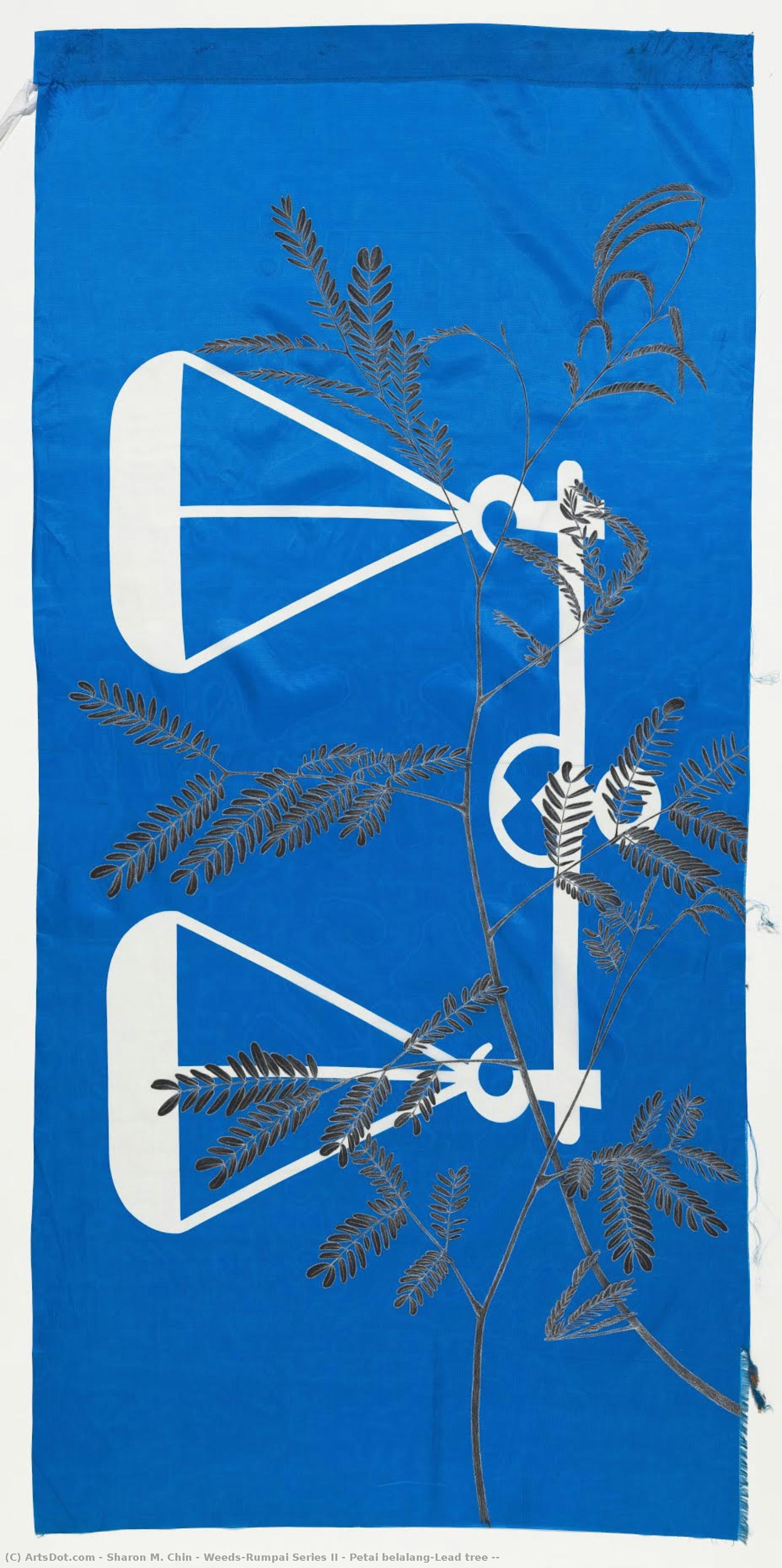Weeds/rumpai Series Ii - Petai Belalang/lead Tree ( — Sharon M. Chin