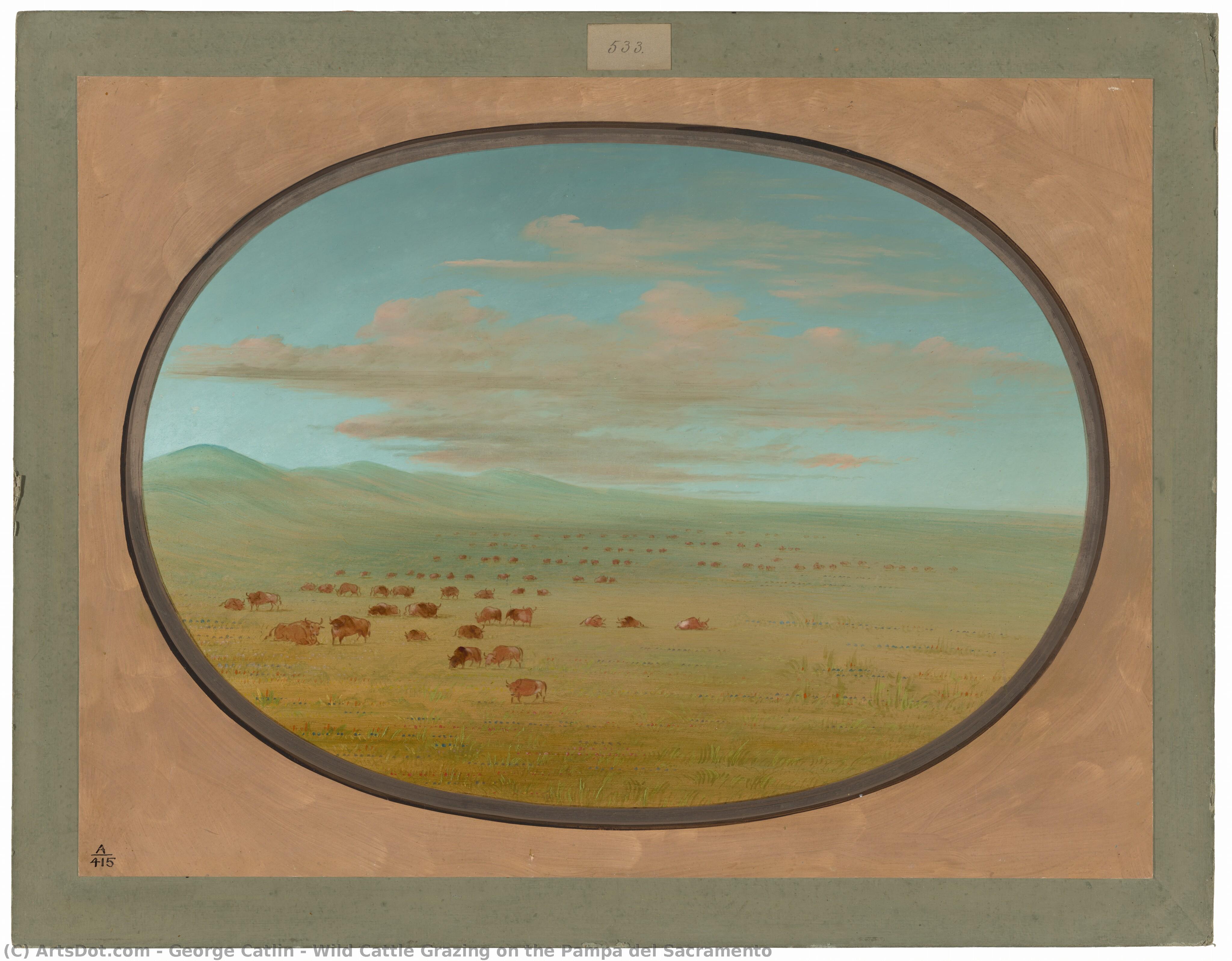 Wild Cattle Grazing On The Pampa Del Sacramento — George Catlin