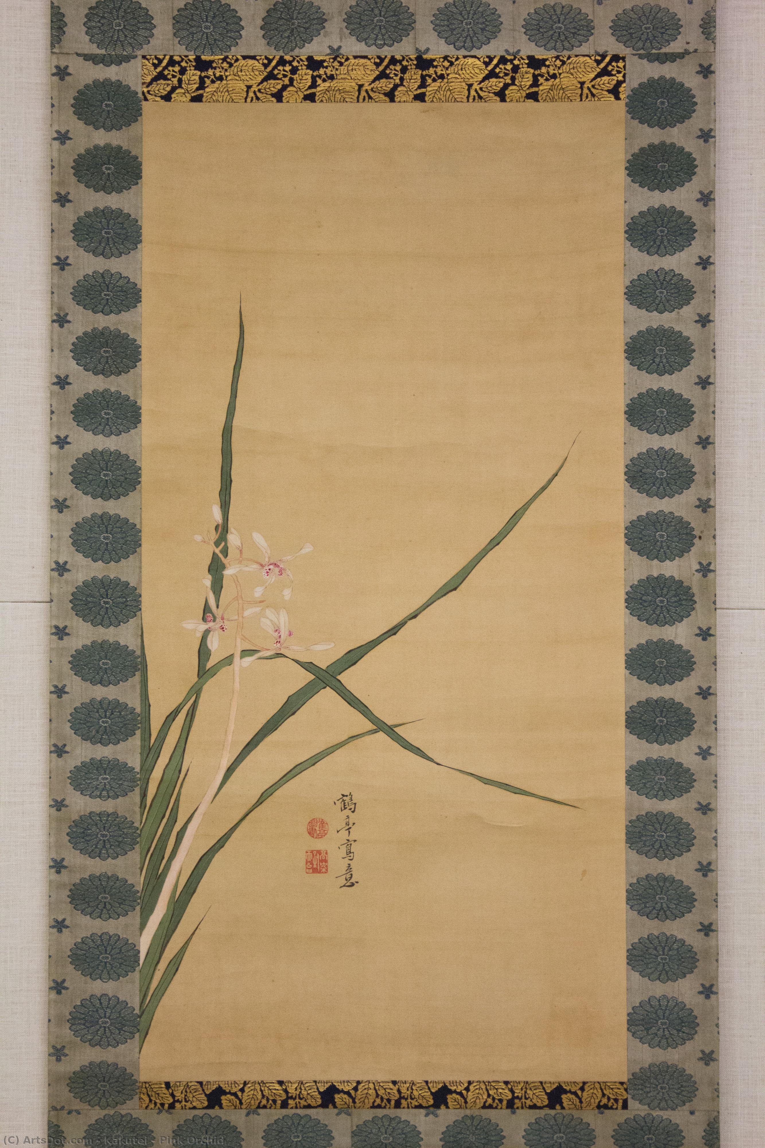 Pink Orchid — Kakutei