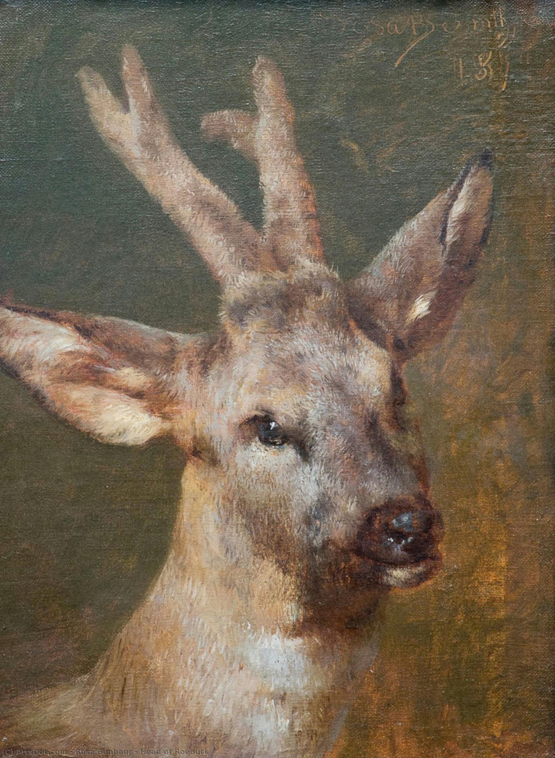 Head Of Roebuck — Rosa Bonheur