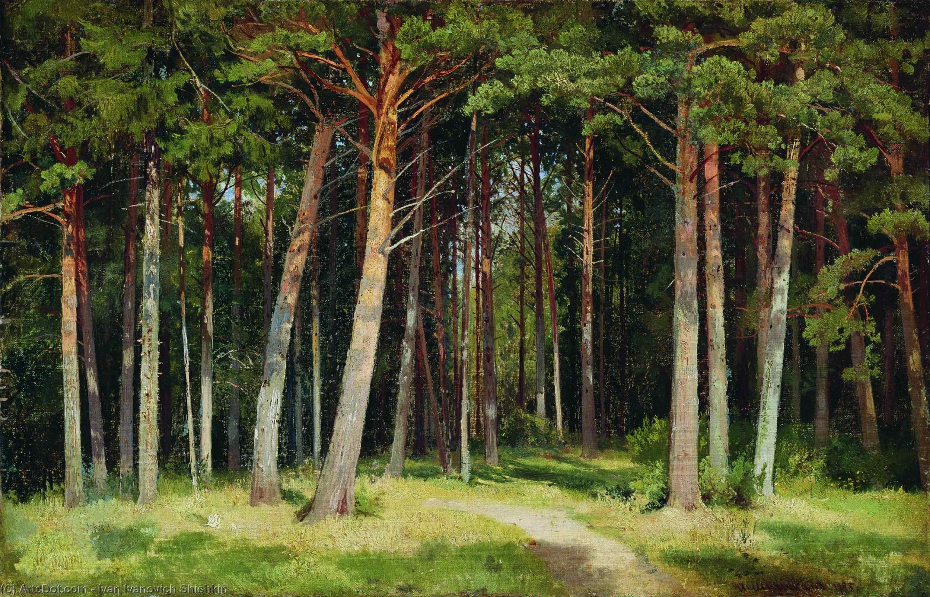 Pine Forest — Ivan Ivanovich Shishkin