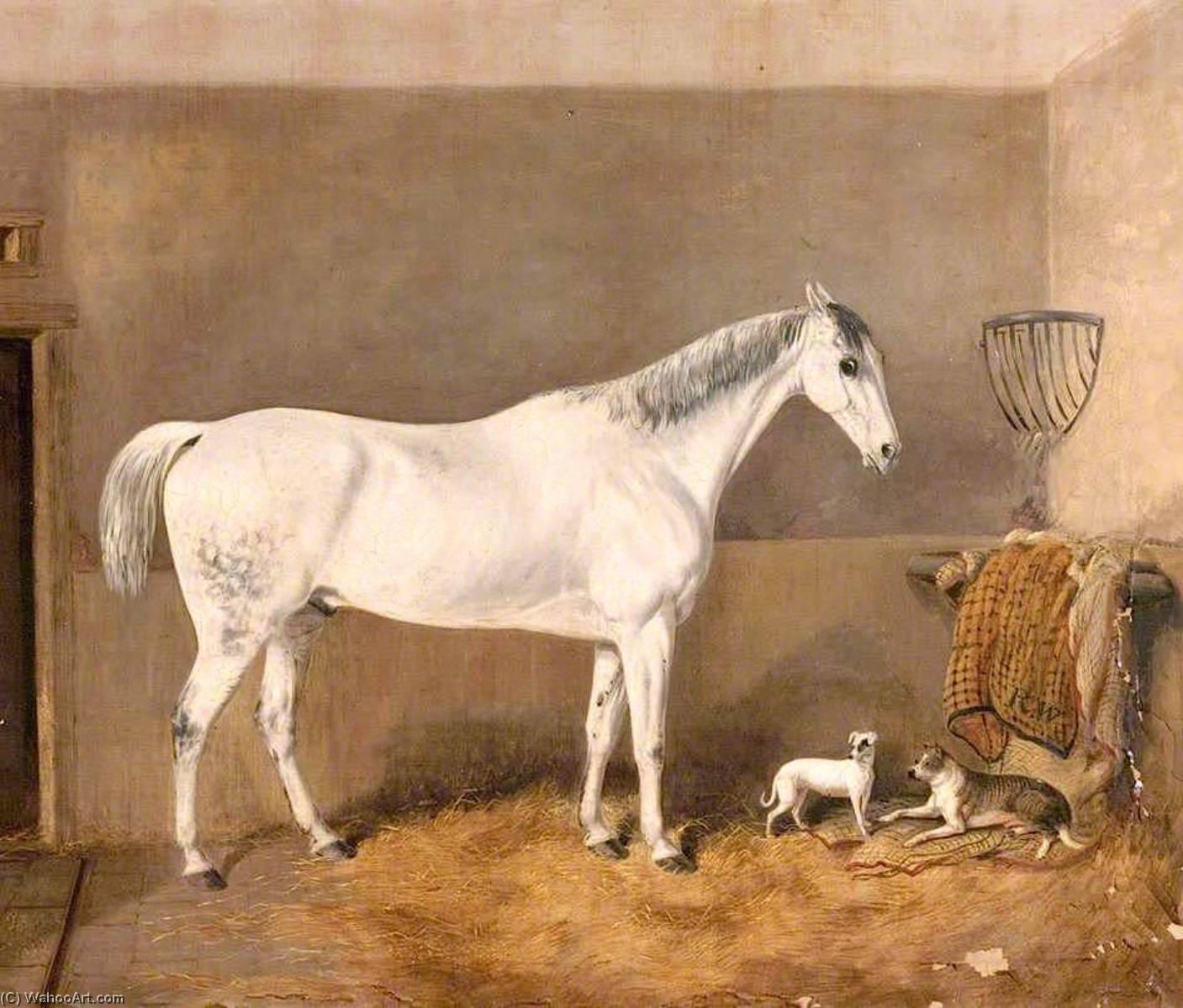 Grey Hunter Owned By Mr Robert White (also Known As Horse, Stable And Dog) — Thomas Walker Bretland