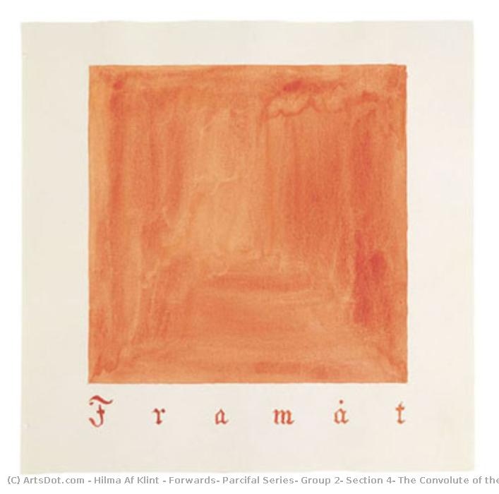 Forwards, Parcifal Series, Group 2, Section 4: The Convolute Of The Physical Plane — Hilma Af Klint